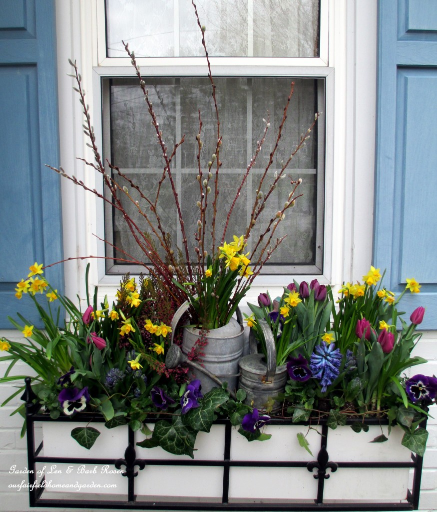 Spring bulbs, heather, pussy willow and ivy https://lolajack-global.jp.net/diy-project-welcome-spring-time-to-change-the-window-boxes/