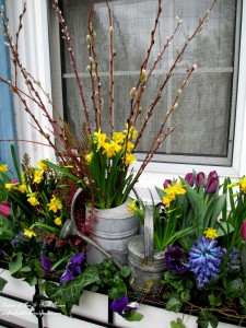 Welcome spring with a windowbox full of spring blooms! https://lolajack-global.jp.net/diy-project-welcome-spring-time-to-change-the-window-boxes/