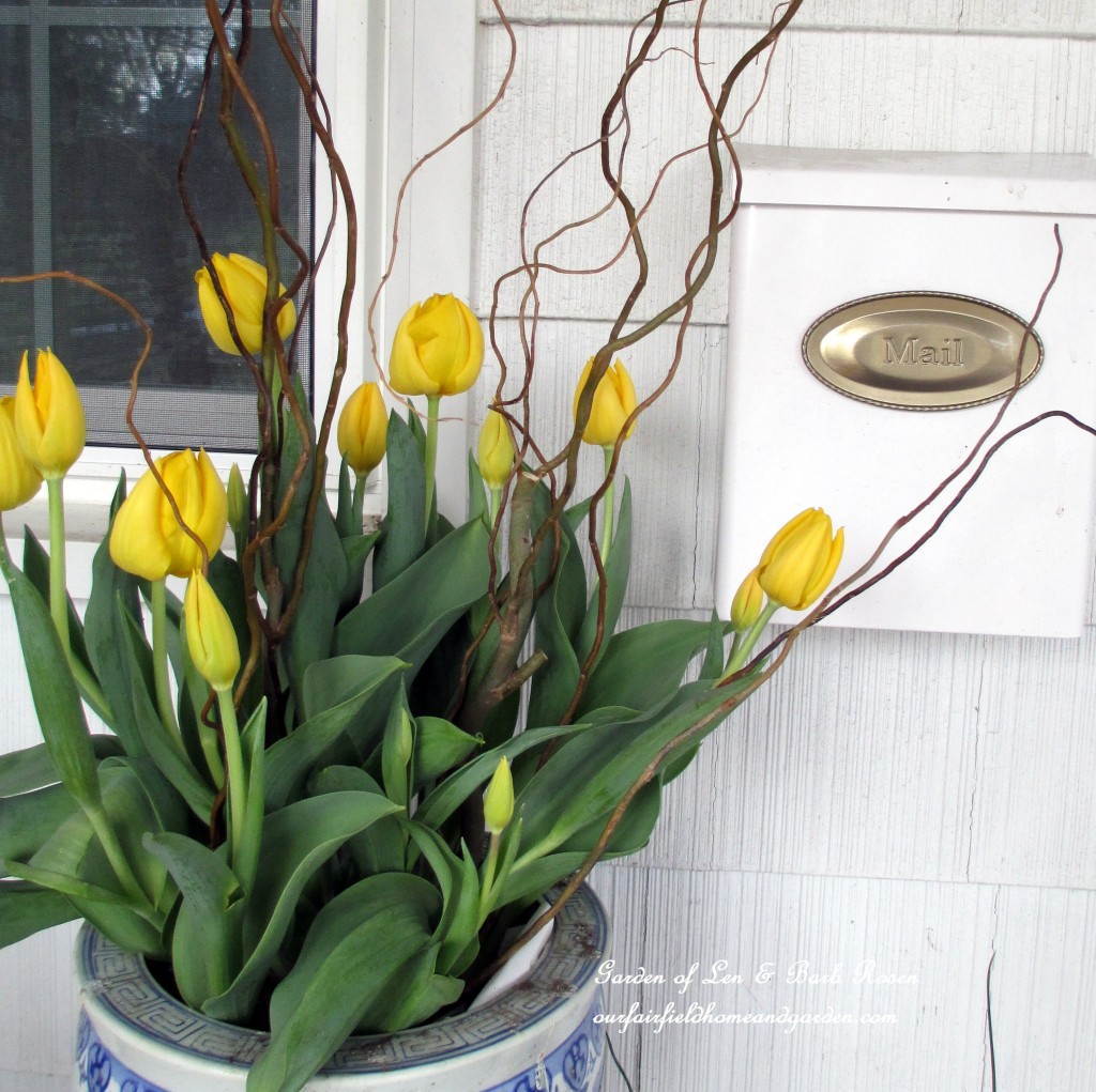 spring tulips https://lolajack-global.jp.net/spring-is-busting-out-all-over/