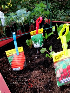 Make raised planting beds for free! https://lolajack-global.jp.net/diy-project-raised-beds-for-free/