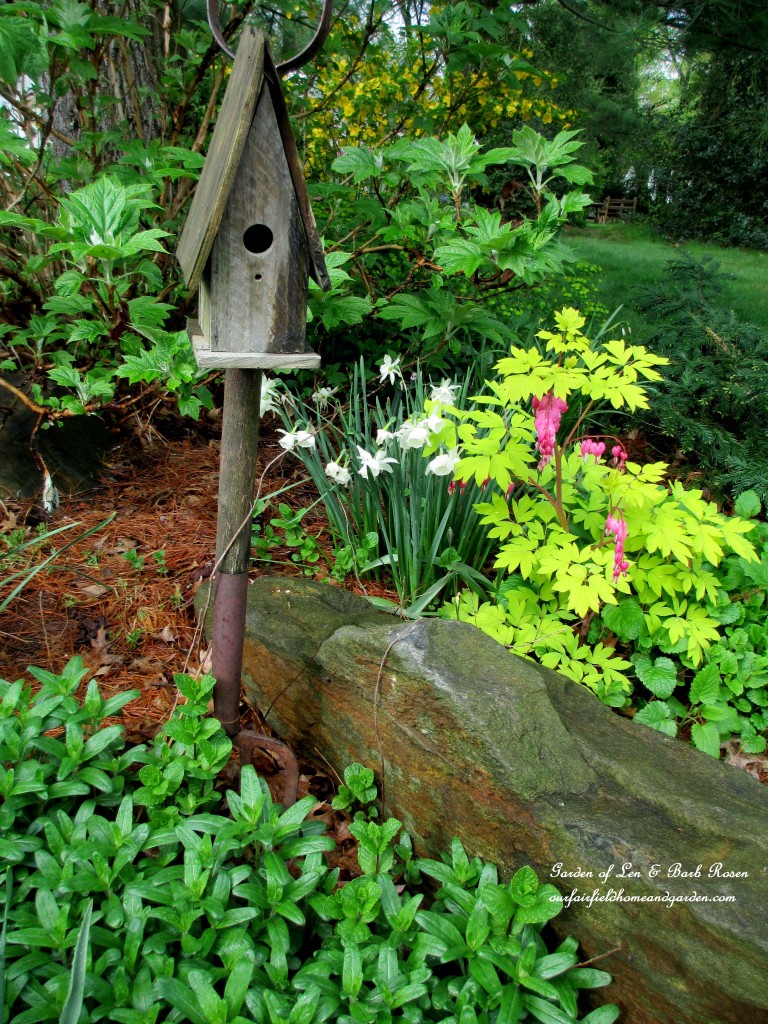 front driveway flower bed https://lolajack-global.jp.net/the-merry-merry-month-of-may/