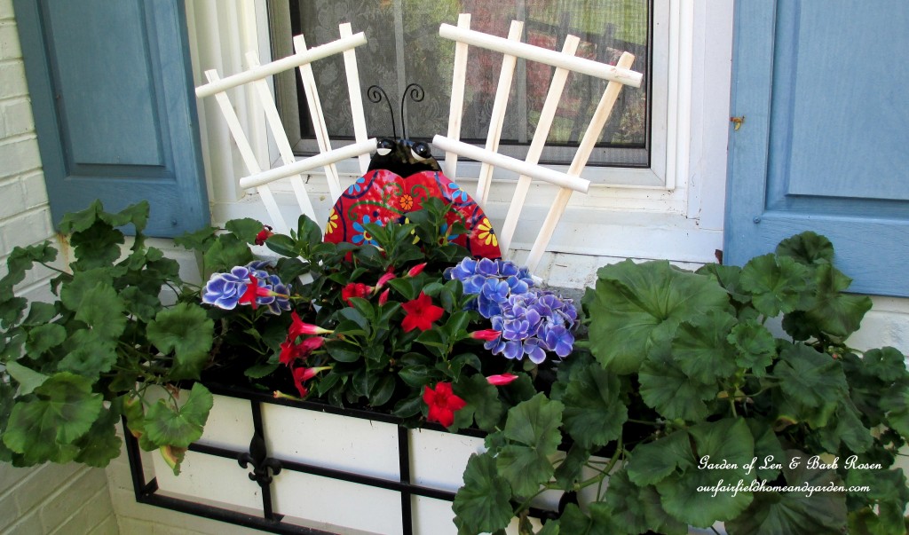 window box with geraniums, hydrangea and mandevilla https://lolajack-global.jp.net/the-merry-merry-month-of-may/