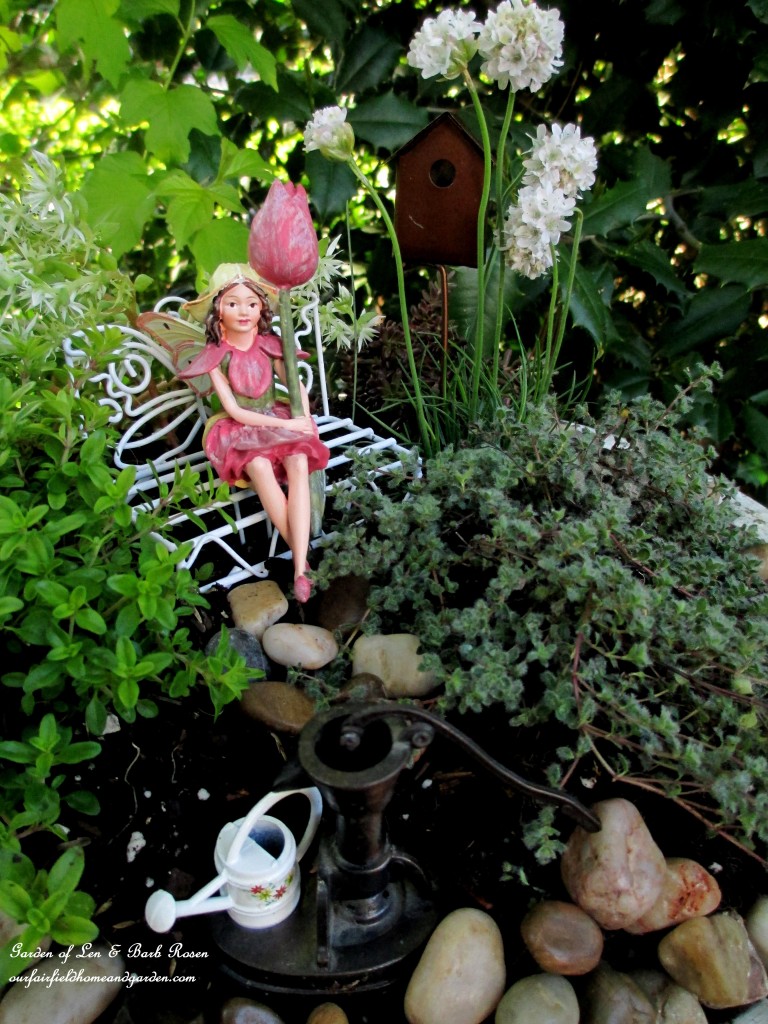 Tulip Fairy sitting amidst the wooly thyme, lemon thyme, Armeria "Morning White Star", stonecrop sedum "Larienem Park" and "Coral Carpet". https://lolajack-global.jp.net/diy-project-mothers-day-fairy-garden/