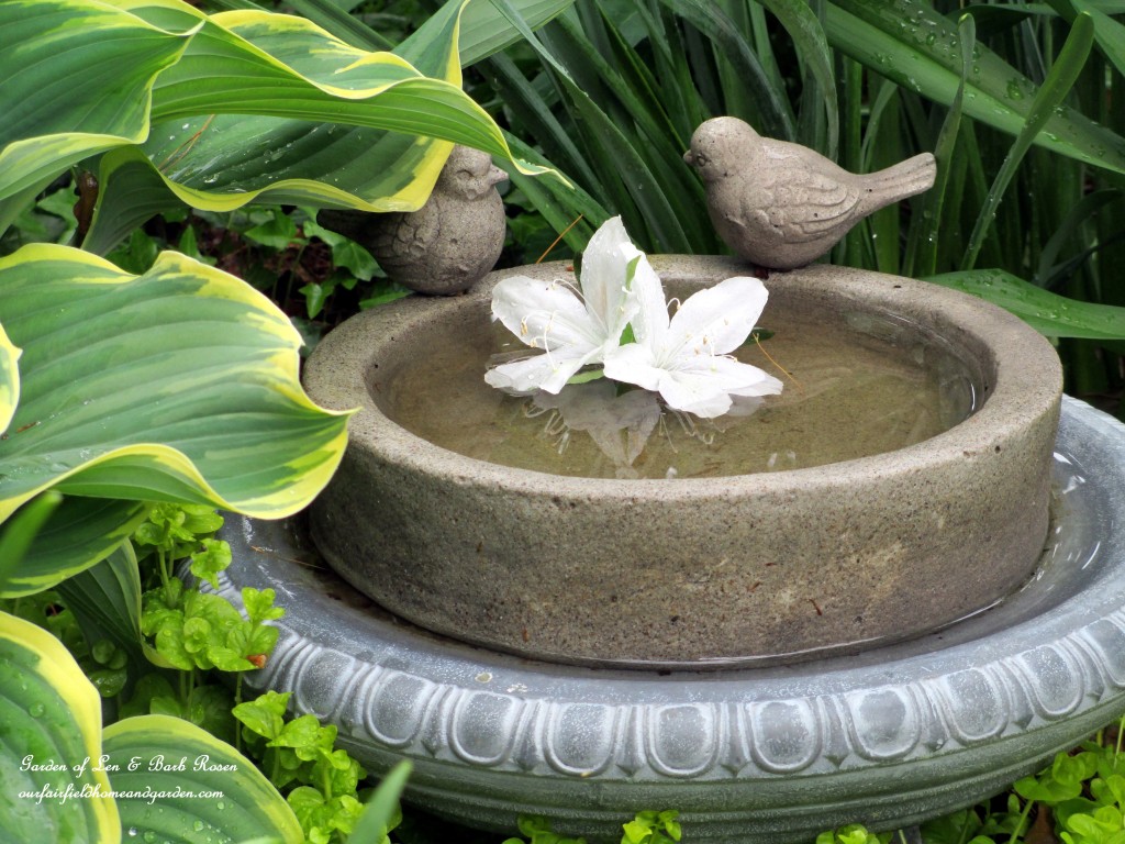 Birdbath nestled in the hostas