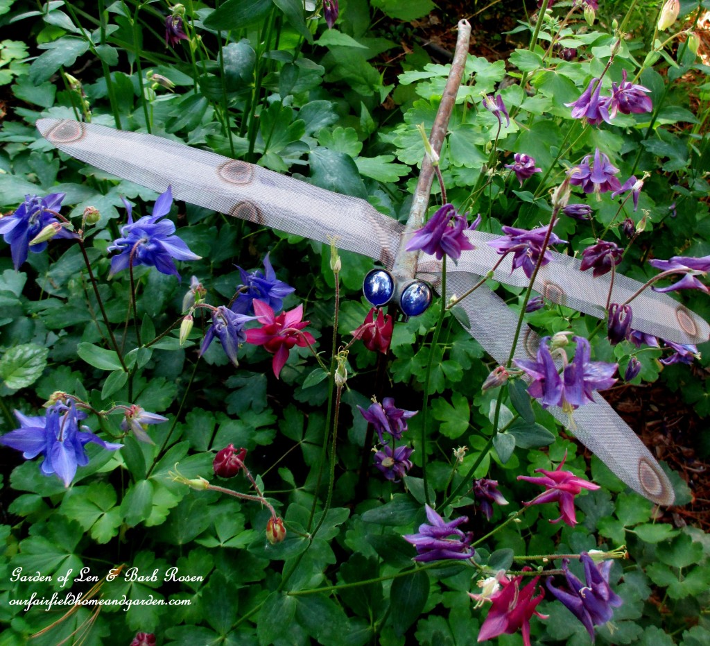 Dragonfly in the Columbine https://lolajack-global.jp.net/may-garden-birdhouses-flowers/