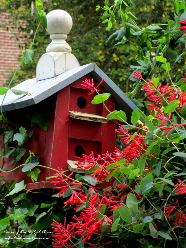 Birdhouse & Lonicera https://lolajack-global.jp.net/may-garden-birdhouses-flowers/