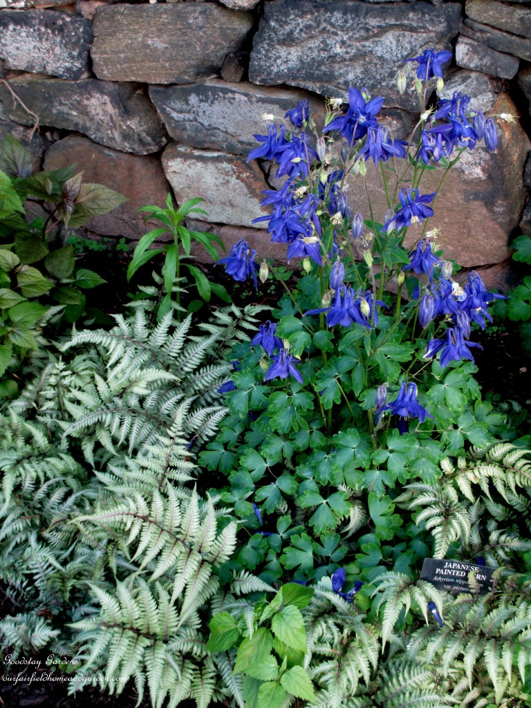 https://lolajack-global.jp.net/springtime-in-goodstay-gardens/