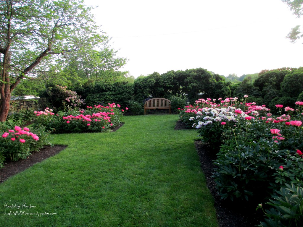 https://lolajack-global.jp.net/springtime-in-goodstay-gardens/