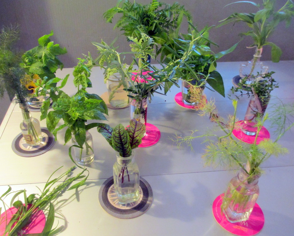 samples of fragrant plants from the garden https://lolajack-global.jp.net/diy-project-country-flower-basket/