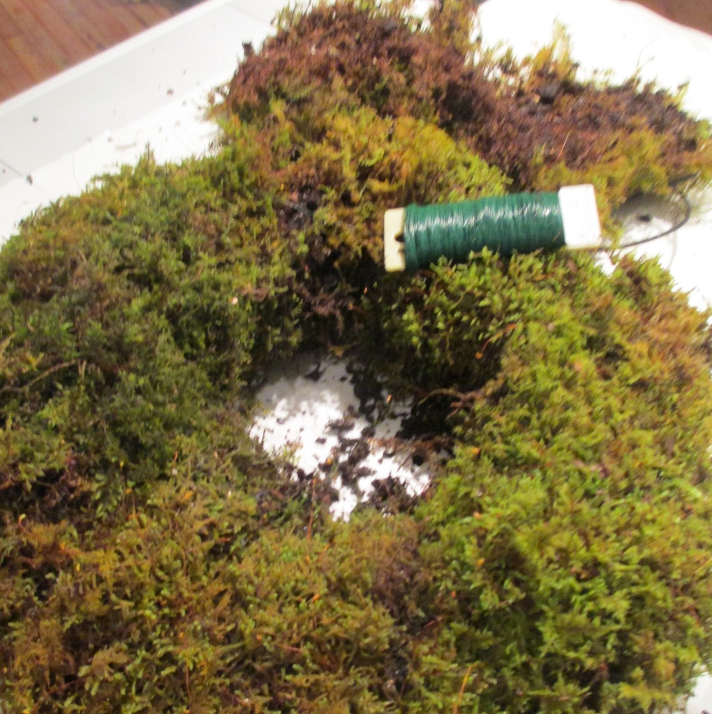 Step 3 ~ Hold the sheet moss together and wrap tightly with floral wire. * Mark where you started!
