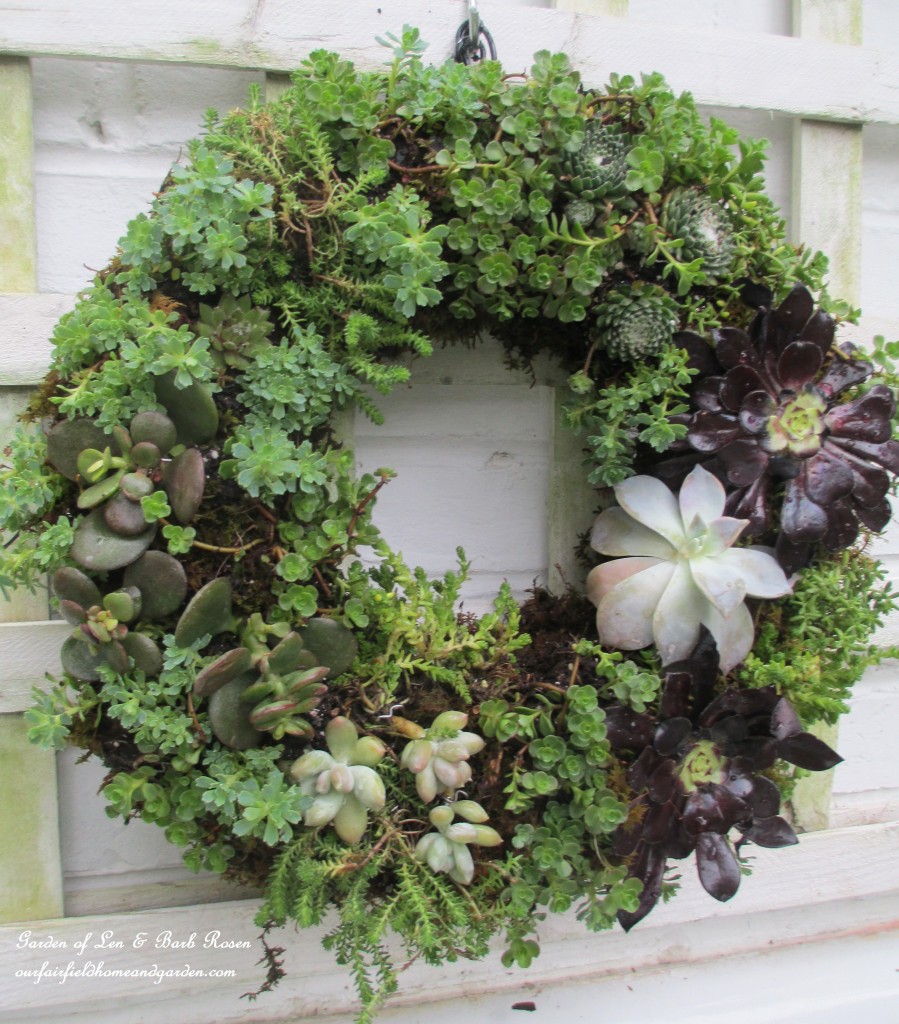 ~ finished succulent wreath ~ https://lolajack-global.jp.net/diy-project-make-a-succulent-wreath/