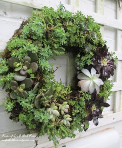 ~ Succulent Wreath ~ https://lolajack-global.jp.net/diy-project-make-a-succulent-wreath/