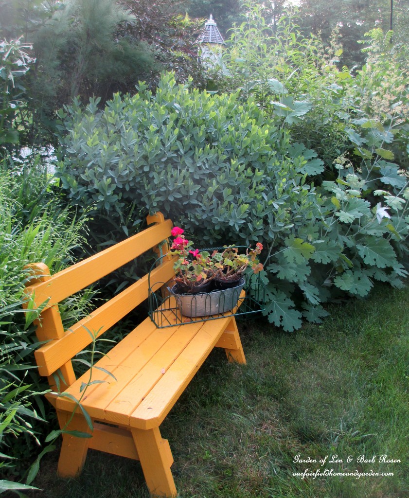 yellow bench in the front garden https://lolajack-global.jp.net/garden-walk-july-1st/