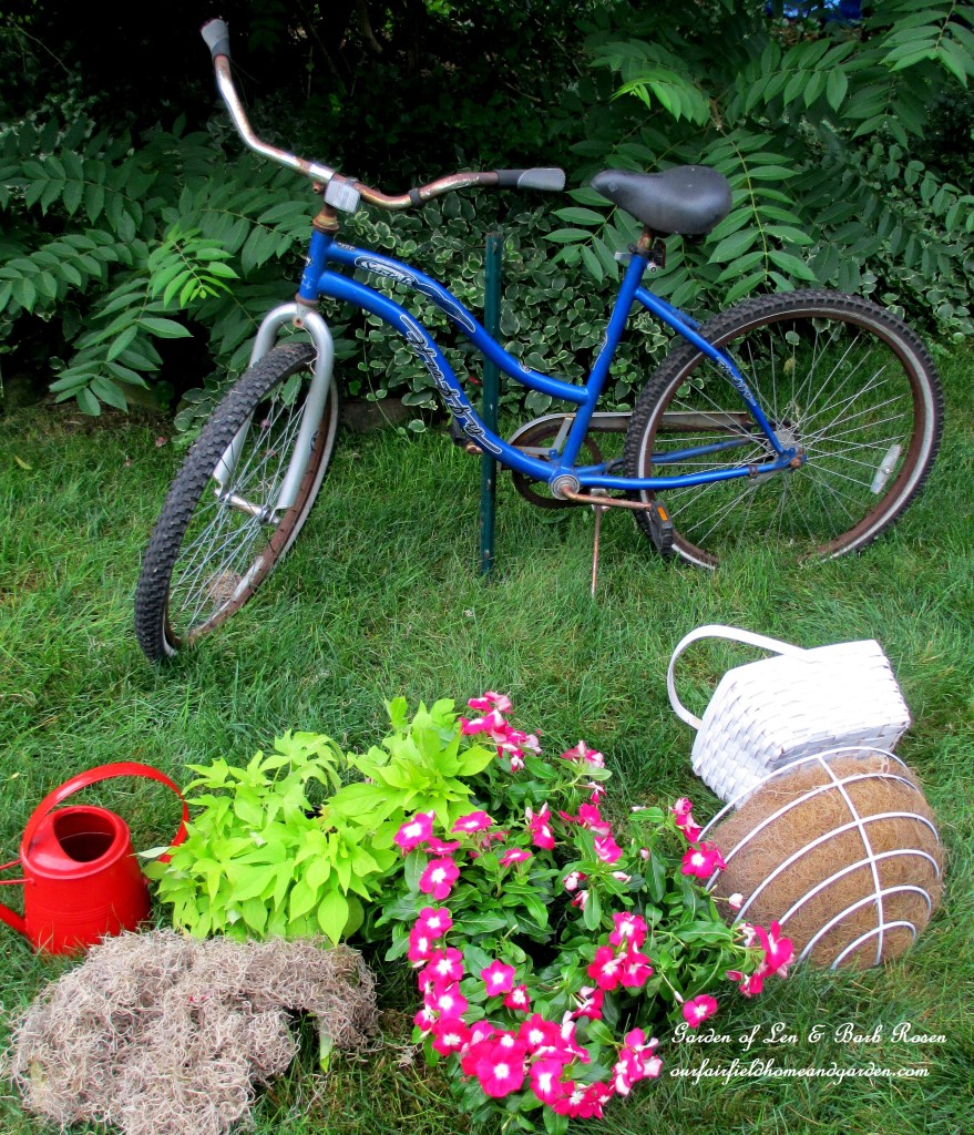 Assemble the materials ~ two baskets, plants, sphagnum moss and an old bike. https://lolajack-global.jp.net/diy-project-my-bicycle-planter/