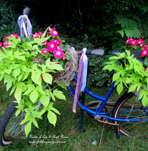 Make a bike planter! https://lolajack-global.jp.net/diy-project-my-bicycle-planter/