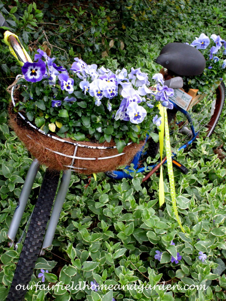 Bike Planter with Pansies https://lolajack-global.jp.net/diy-project-my-bicycle-planter/