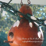 It's All About the Birds! https://lolajack-global.jp.net/its-all-about-the-birds-birdfeeders-birdbaths-and-birdhouses-in-our-garden/