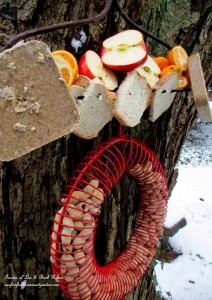 winter feeding https://lolajack-global.jp.net/its-all-about-the-birds-birdfeeders-birdbaths-and-birdhouses-in-our-garden/
