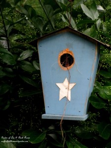 Well used birdhouse https://lolajack-global.jp.net/its-all-about-the-birds-birdfeeders-birdbaths-and-birdhouses-in-our-garden/