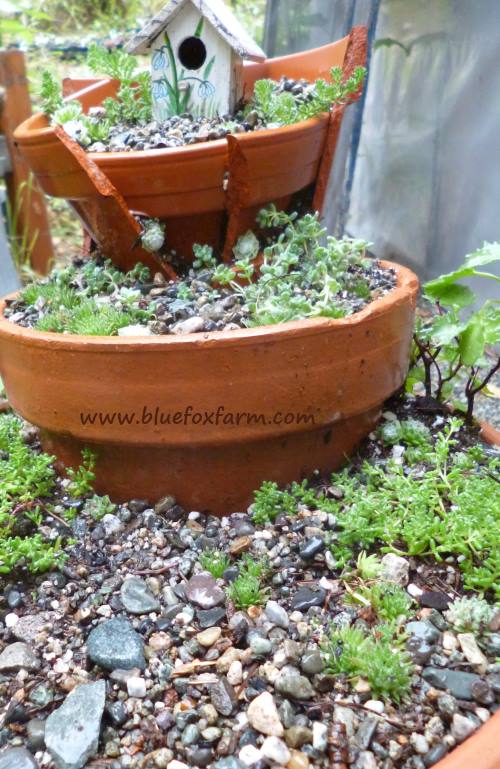 Don't throw those broken pots away! Click here to see how  Jacki of Drought Smart Plants made a fair garden from hers!