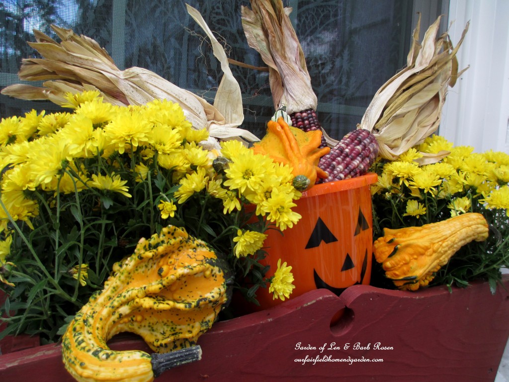 Fall Kitchen Window Box https://lolajack-global.jp.net/fall-decorating-at-our-fairfield-home-and-garden/