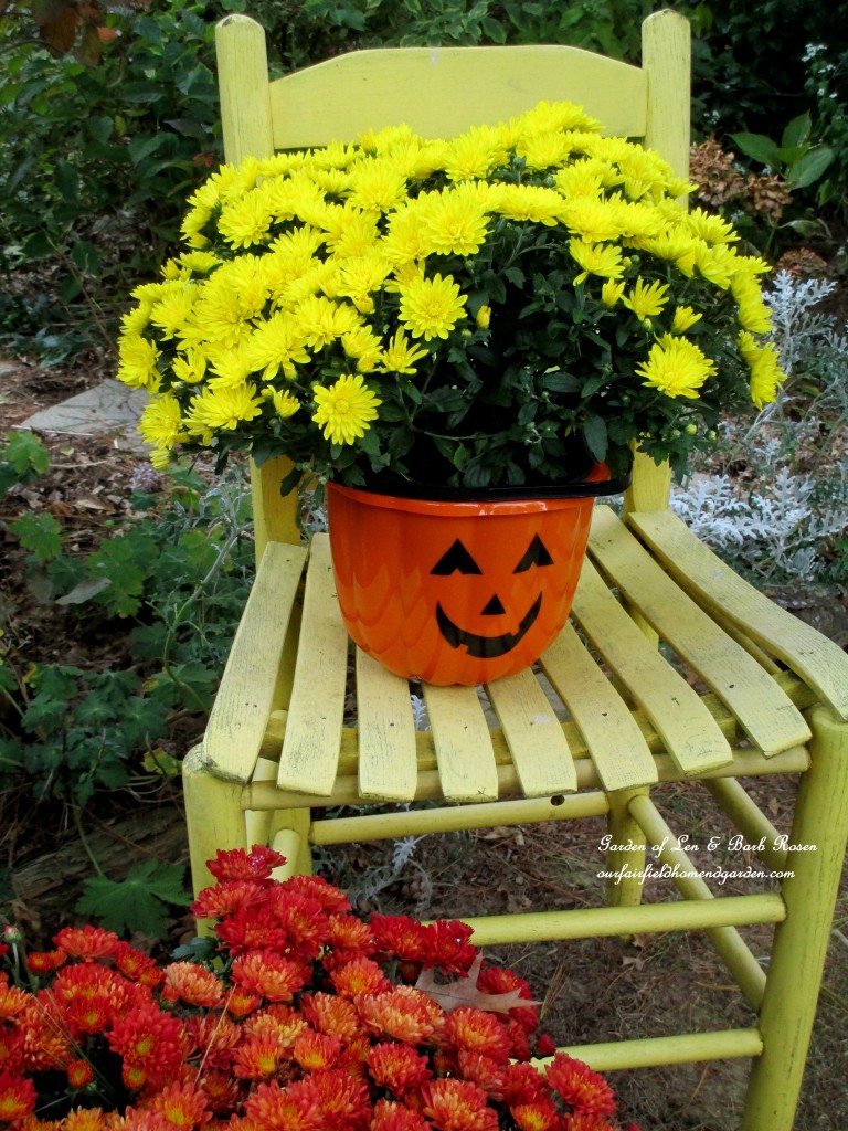 Halloween candy bucket used as a mum planter. https://lolajack-global.jp.net/fall-decorating-at-our-fairfield-home-and-garden/