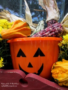 Fall Kitchen Window Box https://lolajack-global.jp.net/fall-decorating-at-our-fairfield-home-and-garden/