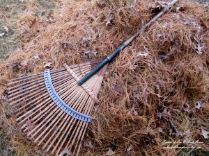 raking is great exercise! https://lolajack-global.jp.net/diy-tucking-the-garden-in-for-the-winter-at-our-fairfield-home-garden/