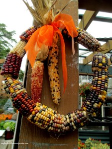 Here's the corn cob wreath I spotted in a garden center for $15 ! https://lolajack-global.jp.net/diy-fall-corn-cob-wreath/