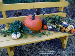 Fall gourds and hay in the cleaned front garden https://lolajack-global.jp.net/diy-tucking-the-garden-in-for-the-winter-at-our-fairfield-home-garden/