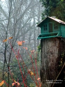 squirrel-proof feeder https://lolajack-global.jp.net/its-time-to-feed-the-birds/