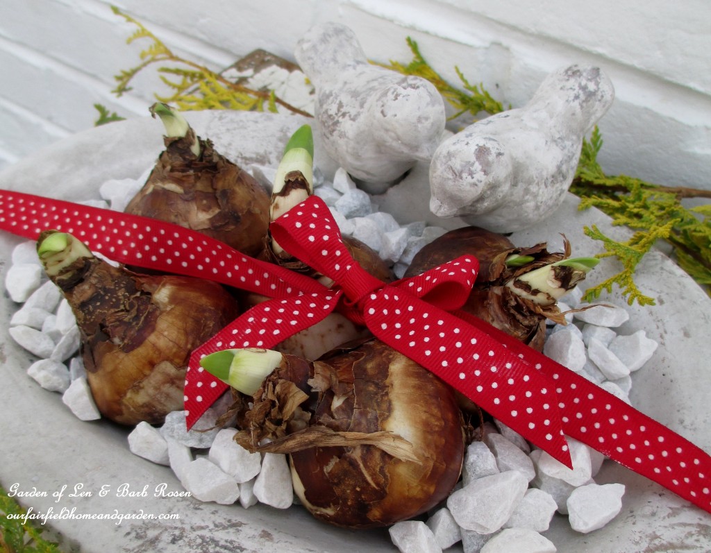 gifts for gardeners https://lolajack-global.jp.net/diy-gifts-for-the-gardener/