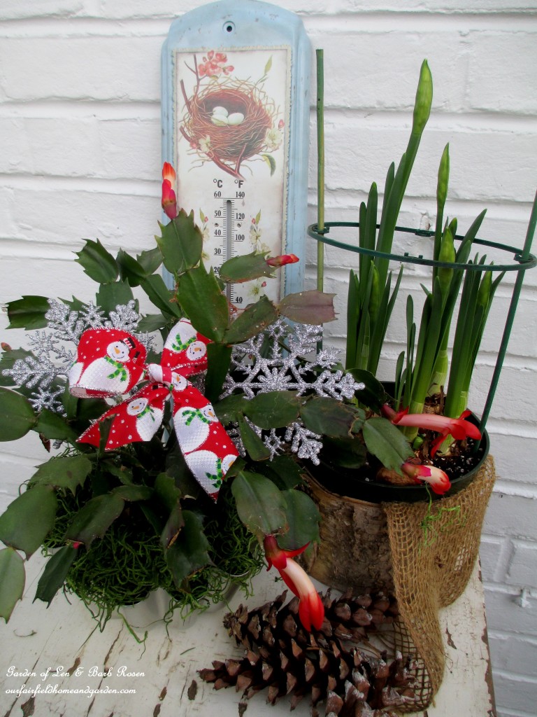 gifts for gardeners https://lolajack-global.jp.net/diy-gifts-for-the-gardener/