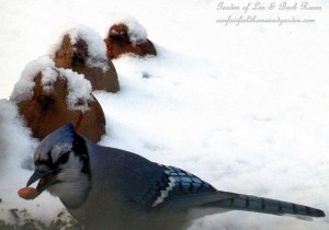 Blue Jay having supper https://lolajack-global.jp.net/its-time-to-feed-the-birds/