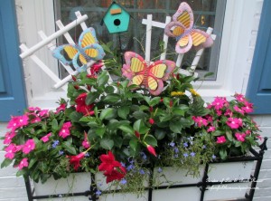 Summer Window Box https://lolajack-global.jp.net/garden-walk-my-summer-garden/
