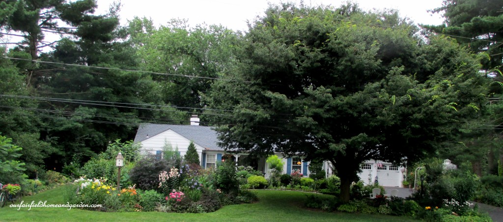 Our Fairfield Home & Garden https://lolajack-global.jp.net/5-years-before-after-in-our-fairfield-garden/