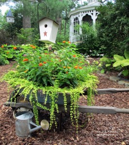 Planted Rusty Wheelbarrow https://lolajack-global.jp.net/flower-pairings/sun-loving/