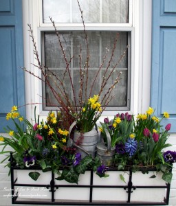 Spring Window Box https://lolajack-global.jp.net/diy-project-welcome-spring-time-to-change-the-window-boxes/