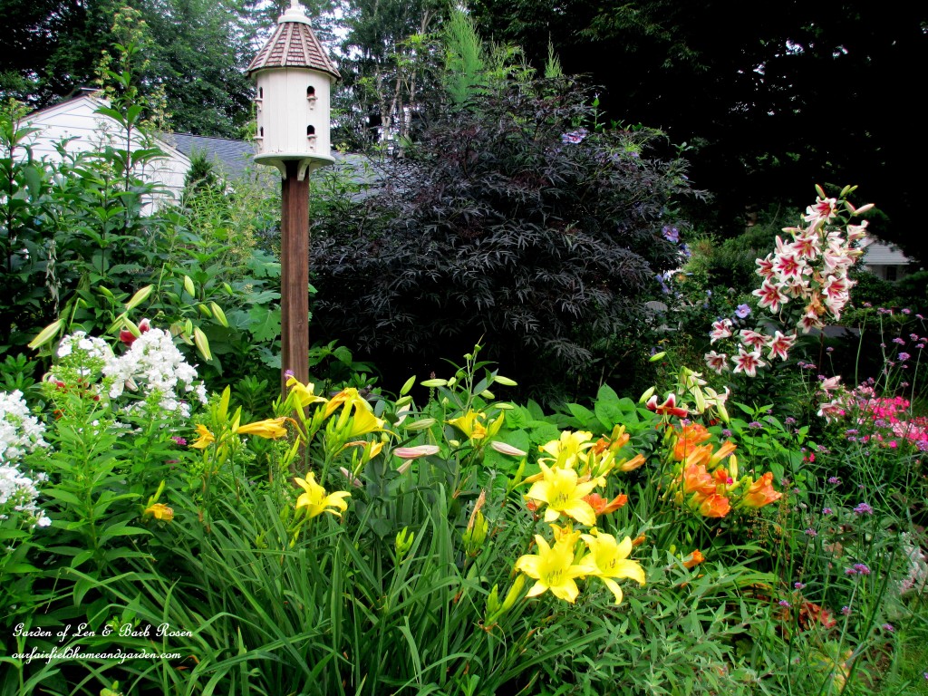 Our Fairfield Home & Garden ~ Summer 2013 https://lolajack-global.jp.net/garden-walk-my-summer-garden/