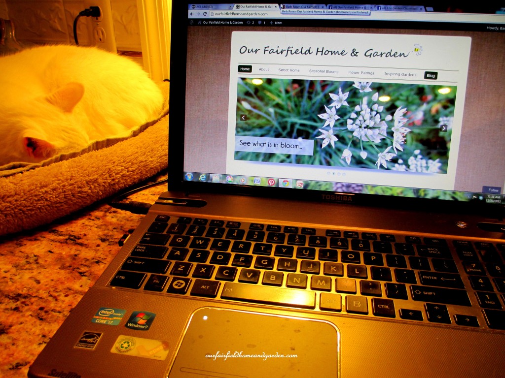 laptop computer https://lolajack-global.jp.net/winter-comforts-at-our-fairfield-home-garden/