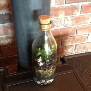 terrarium http://sensiblegardening.com/the-closed-terrarium/