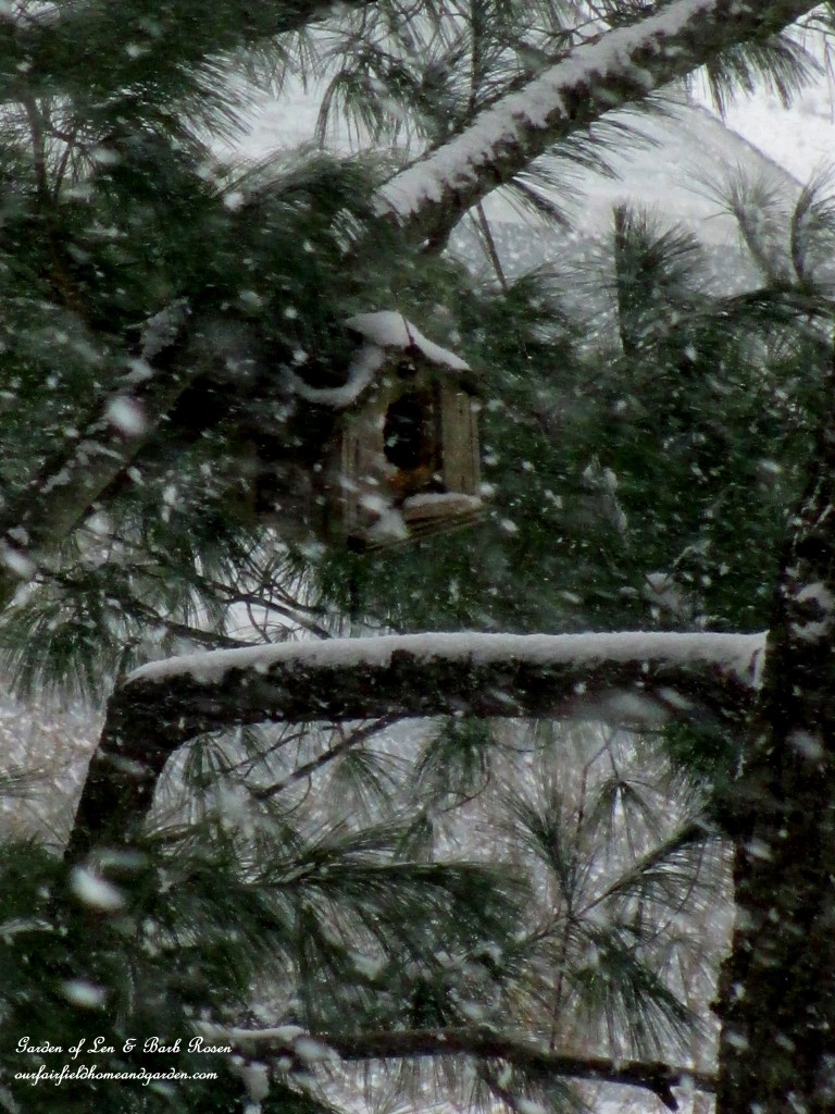 birdhouse in the snow https://lolajack-global.jp.net/winter-birds-our-fairfield-home-garden/