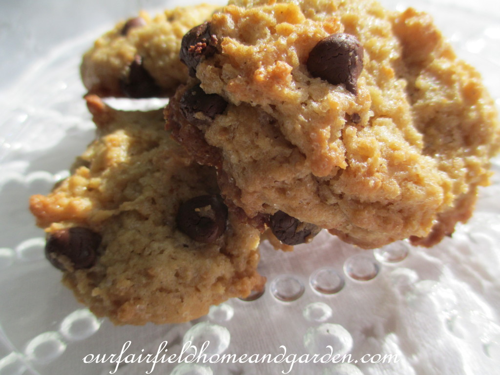 Ultimate Chocolate Chip Cookies