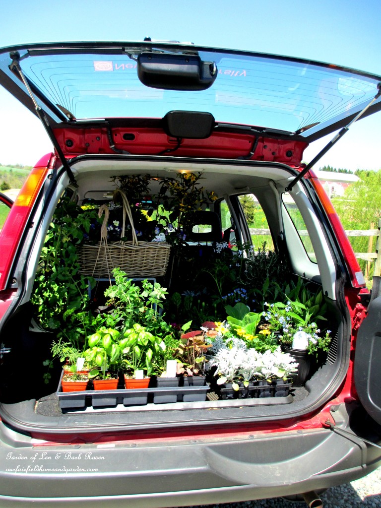 carload of nursery plants https://lolajack-global.jp.net/spring-fever/