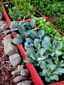 raised planting beds https://lolajack-global.jp.net/diy-project-raised-beds-for-free/
