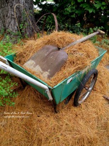 DIY mulching https://lolajack-global.jp.net/diy-tucking-the-garden-in-for-the-winter-at-our-fairfield-home-garden/