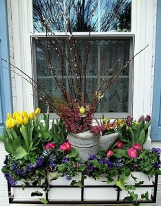spring window box https://lolajack-global.jp.net/spring-fever/