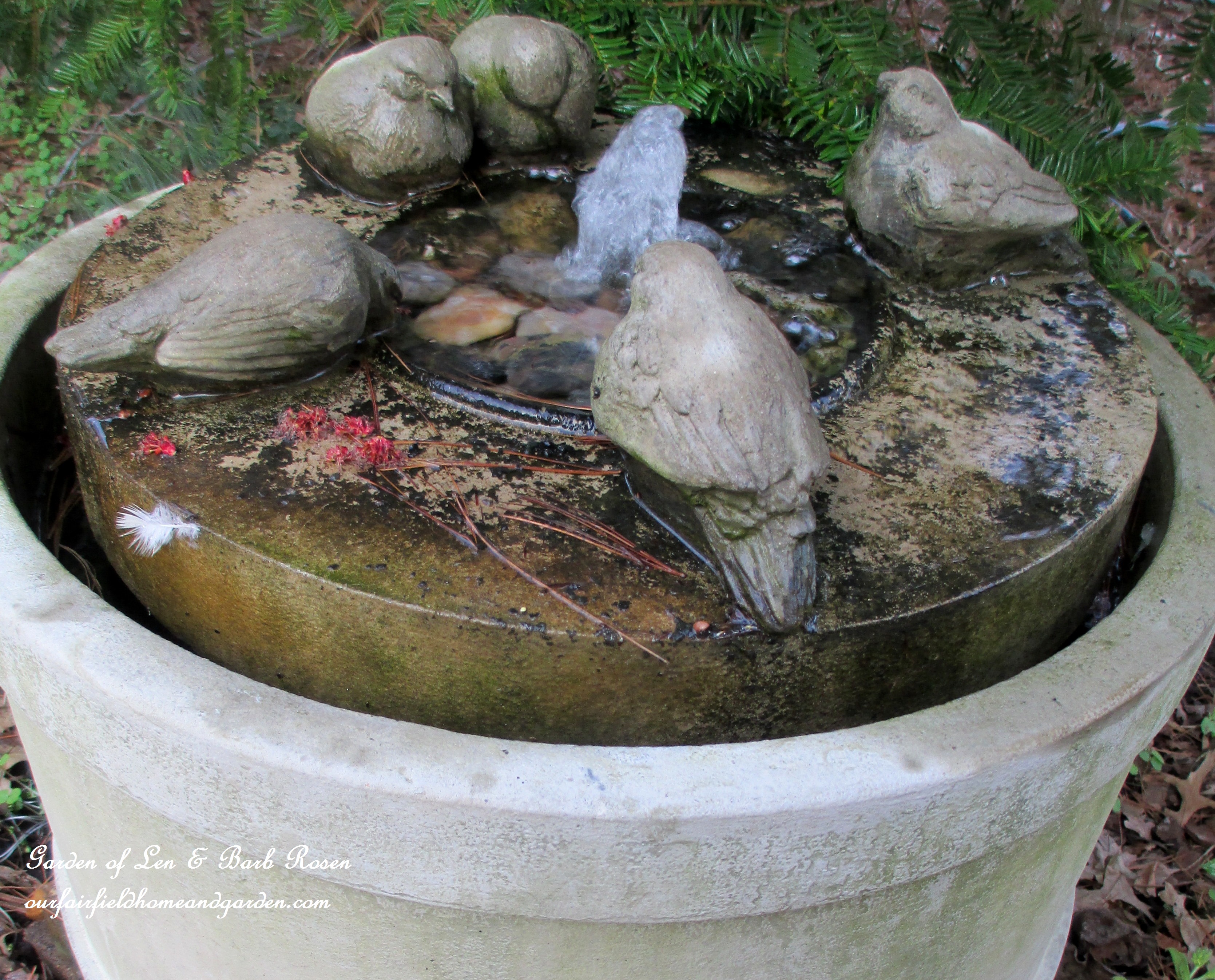 Birdbath https://lolajack-global.jp.net/signs-of-spring-at-our-fairfield-home-garden/