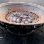 Fire Pit Fairy Garden https://lolajack-global.jp.net/a-fire-pit-fairy-garden-choose-your-favorite/