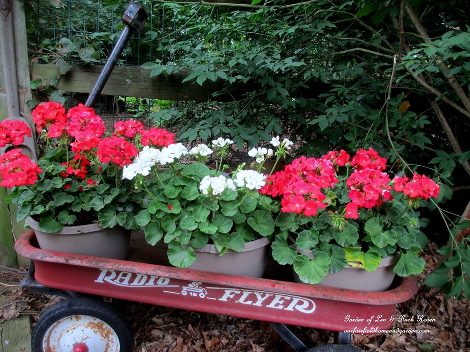 Wagon Planter https://lolajack-global.jp.net/container-gardens-our-fairfield-home-garden/